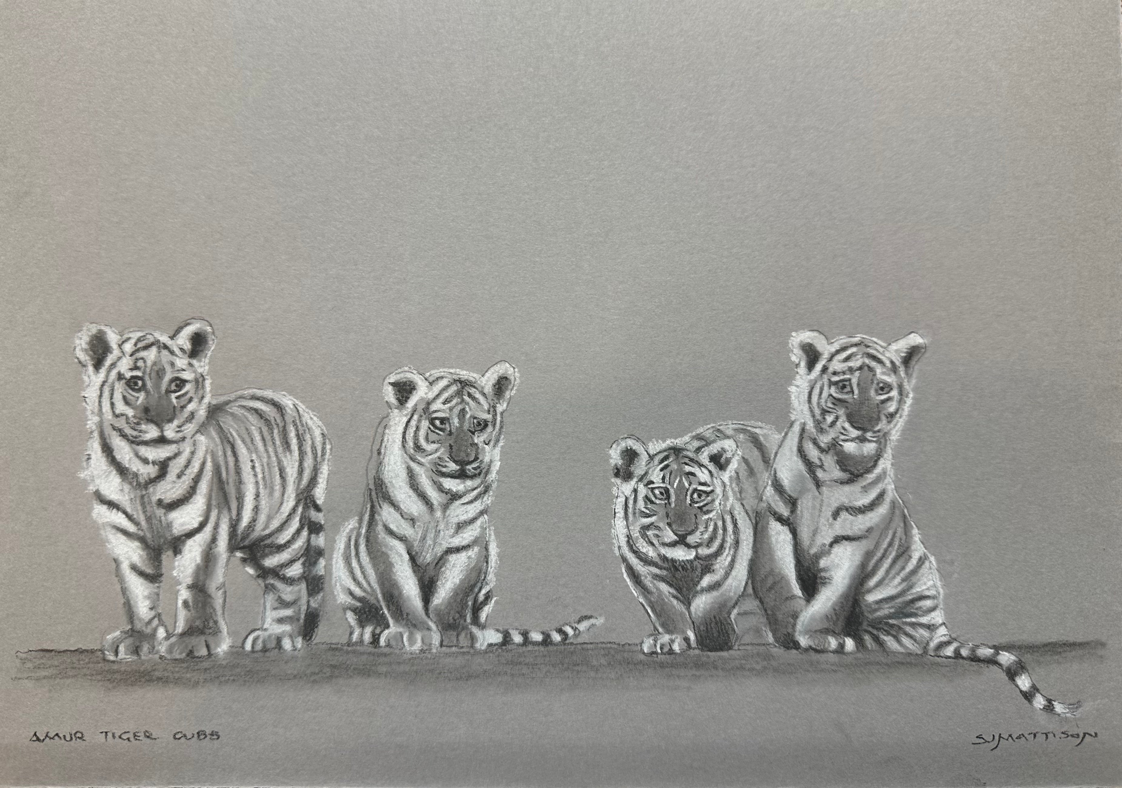Tiger Cubs